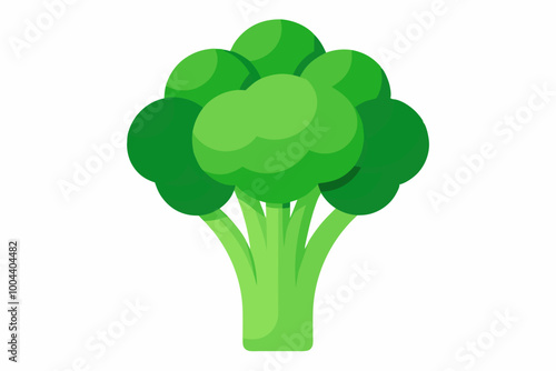 Fresh broccoli vegetable minerals source