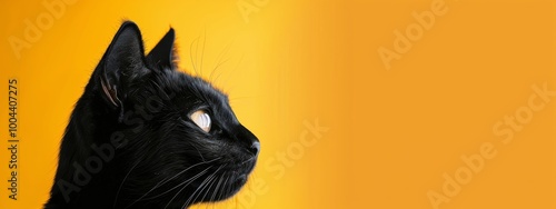 Two Adorable Kittens Looking Left Against a Bright Yellow Background