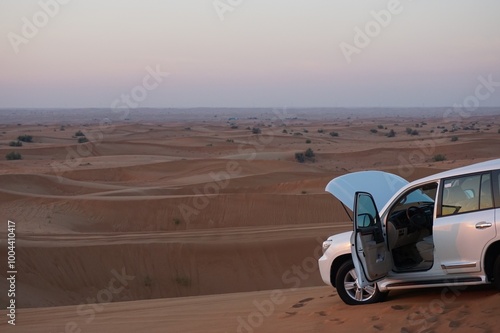 car in the desert