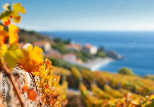 Scenic Coastal Pathway With Vines at Sunset in Autumn