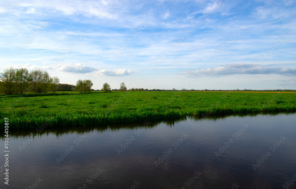 Fototapeta premium Landscape green meadow and canal with clear water