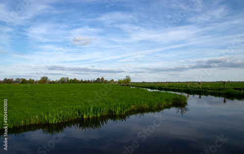 Landscape green meadow and canal with clear water