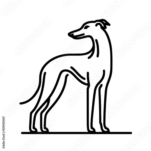 Outline Illustration of a Sighthound Dog Standing | Whippet, Greyhound, Italian Greyhound, Lurcher
