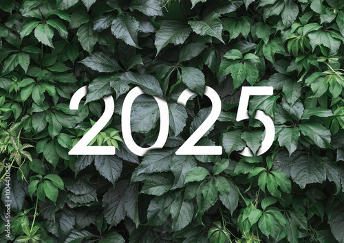 2025 New year white text hidden in natural green leaves wall