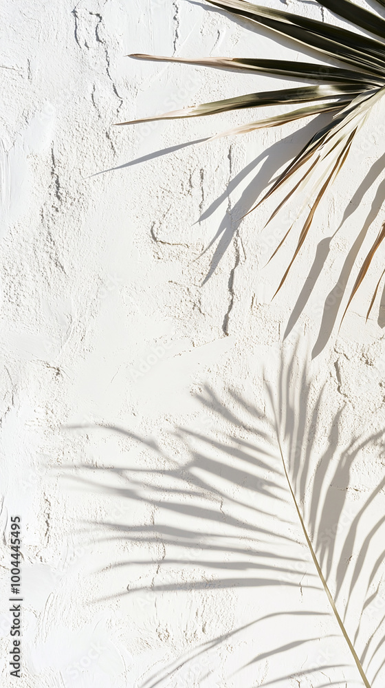Fototapeta premium Textured White Background with Soft Palm Shadows in Corners 