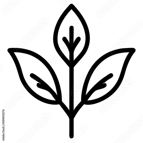 arugula