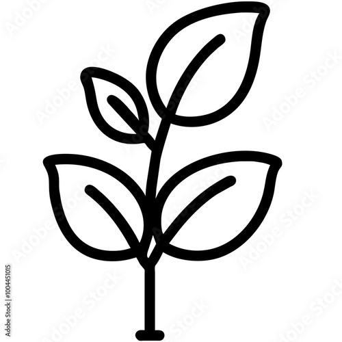 basil nature