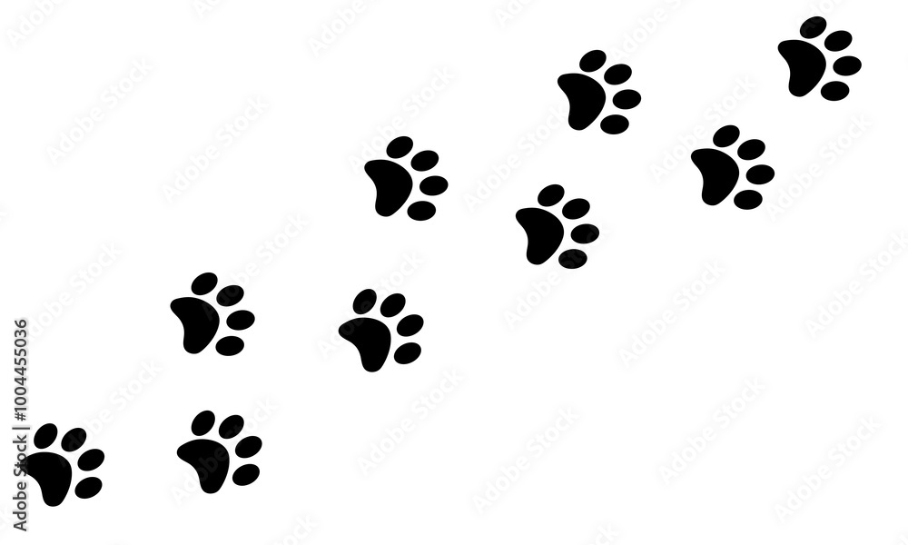 Set of cat footprints. Paw prints. A line of footprints. Vector template. Illustration isolated on white background. Set of cat footprints. Paw prints. A line of footprints. Vector template. Illustration isolated on white background.