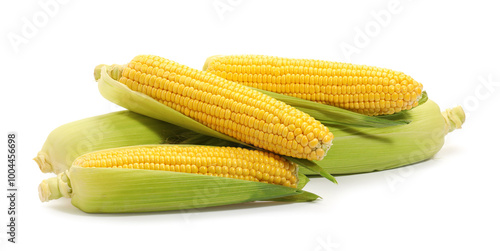 Corncobs with green husks isolated on white