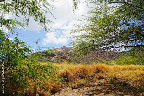 View of Honolulu Hawaii from the Summit of Diamond Head Crater in USA - アメリカ ダイヤモンドヘッド頂上からのホノルル ビーチの風景