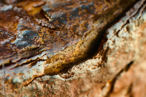 Macro photography of a surface with rust creating shapes and relief