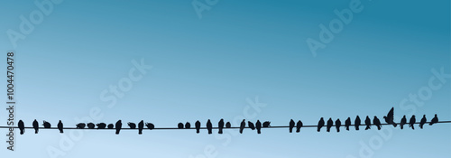 Silhouettes of pigeons on a wire.
