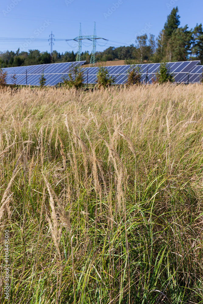 Solar Power Station in the autumn Landscape