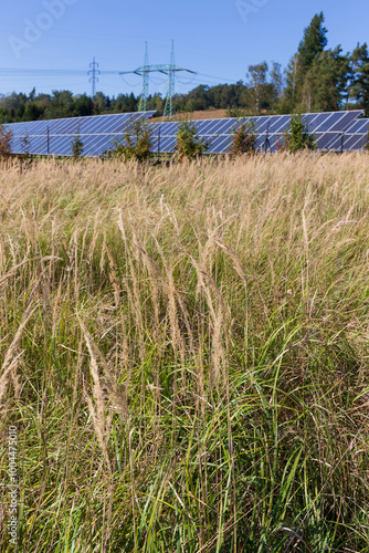 Obraz na płótnie Solar Power Station in the autumn Landscape w salonie