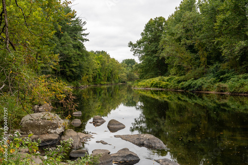 river in the forest woods