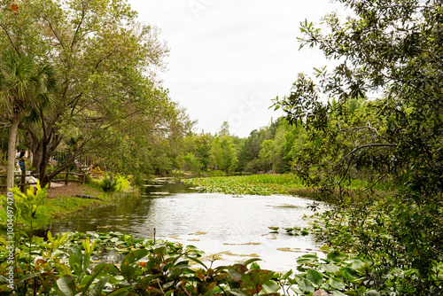 Florida pond and flower garden by a pond