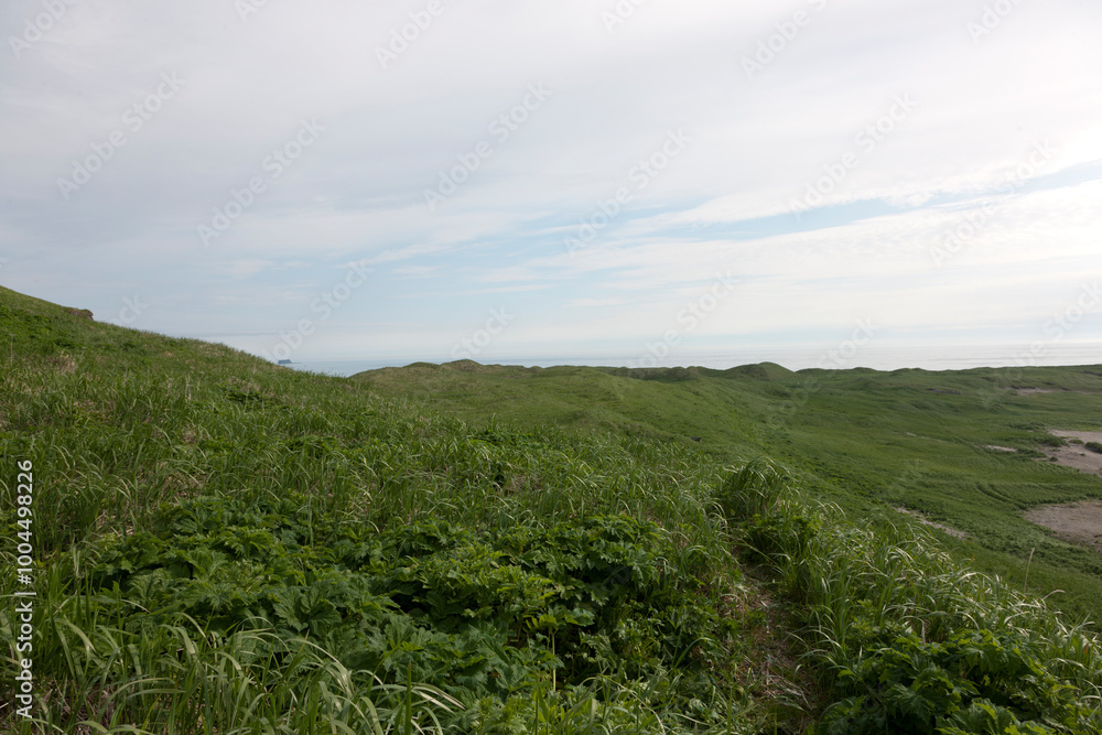 Naklejka premium Russia Commander Islands landscape on a cloudy summer day