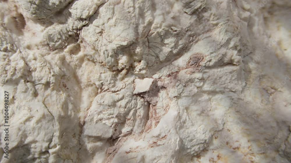 A close-up of a white rock surface showcasing its detailed textures and cracks. The rough and uneven surface of the rock highlights its natural formation A close-up of a white rock surface showcasing its detailed textures and cracks. The rough and uneven surface of the rock highlights its natural formation