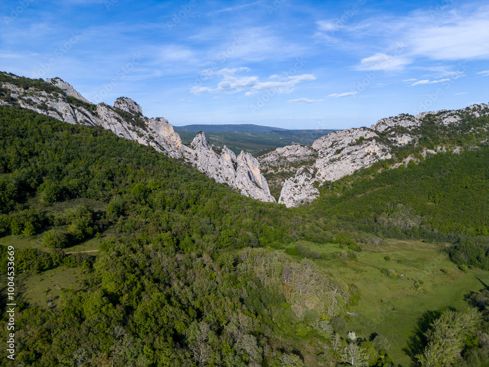 Fototapeta premium Las Palancas y Perros a vista de dron