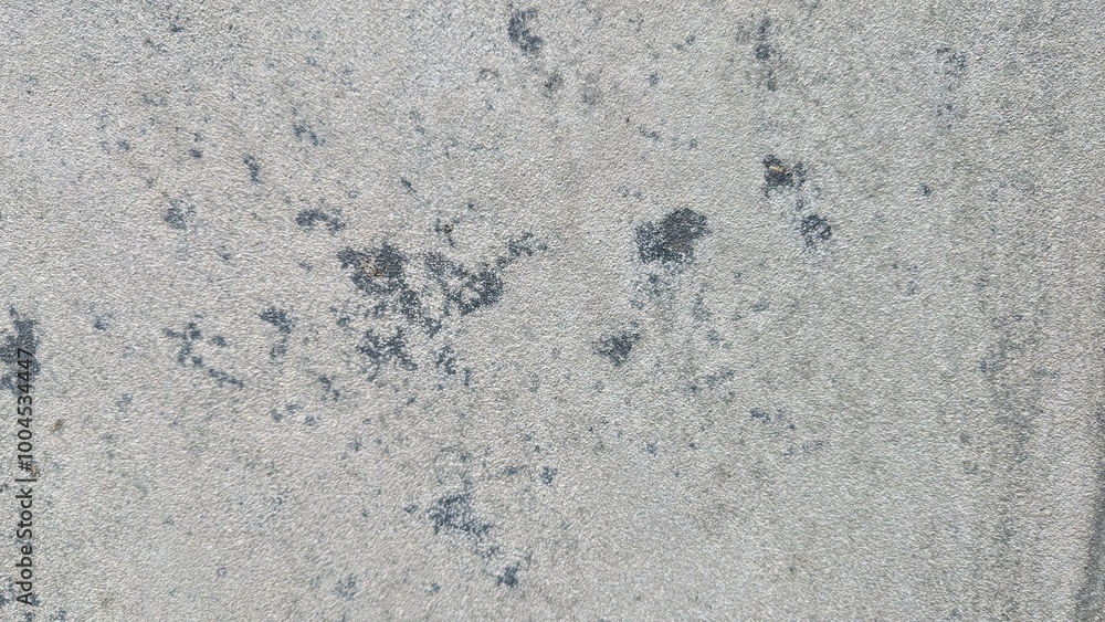 Light Gray Stucco Texture Background Light Gray Stucco Texture Background