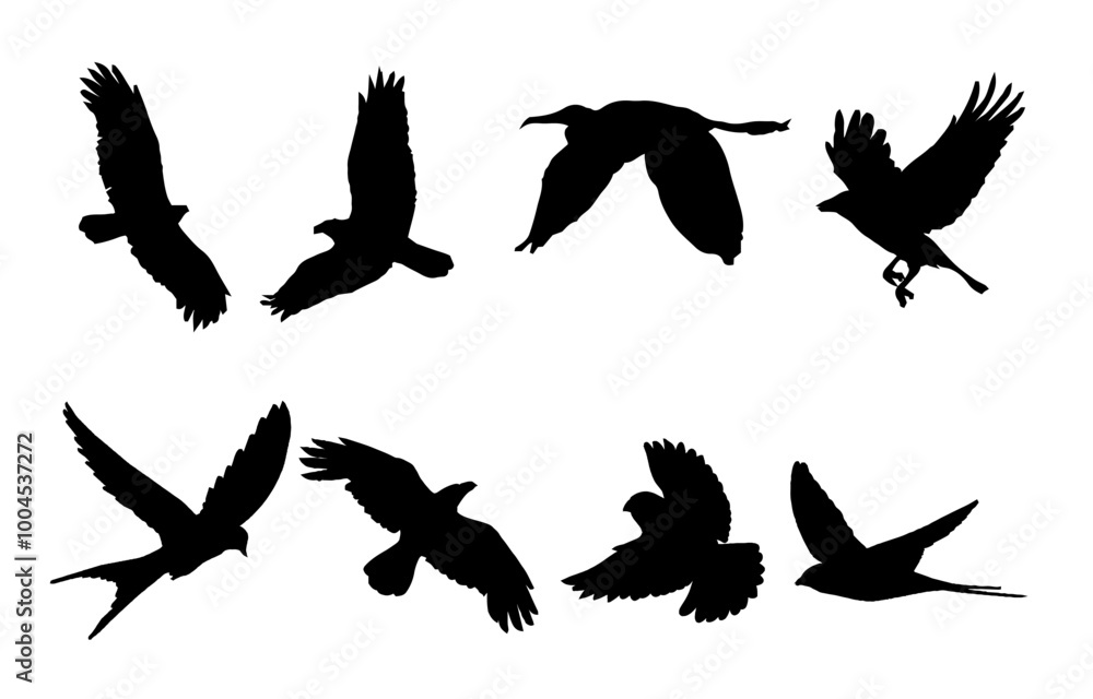 Flying Bird Silhouette illustration Vector Flying Bird Silhouette illustration Vector