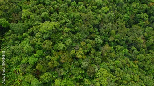 Aerial view of the lush green forest of the Doi Phu Kha National Park, Thailand photo