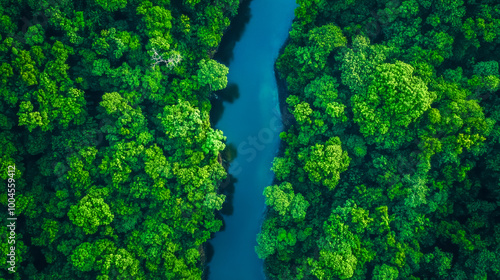 Blue river flowing through lush green forest aerial view