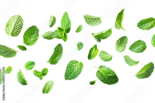 Dynamic Depiction of Fresh Mint Leaves Falling, Isolated on a White Background