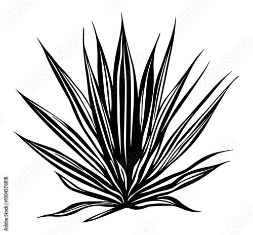 bush or grass black and white without background
