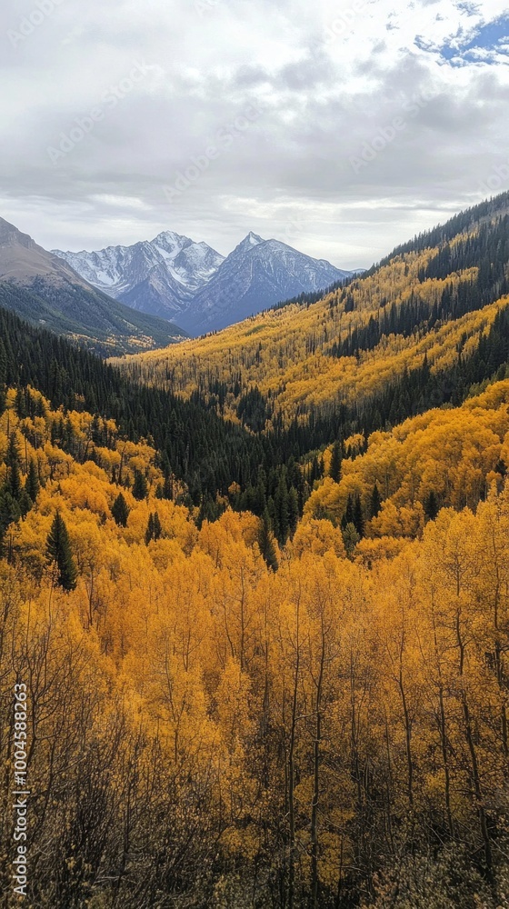 The mountains are covered in trees and the leaves are yellow The mountains are covered in trees and the leaves are yellow