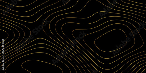 Abstract wave paper curved reliefs background .gradient multicolor wave curve lines banner background design .topographic contours map background .Vector geographic contour map.	