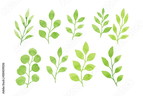 Assortment of watercolor leaves illustration set - green leaf branches collection for wedding, greetings, stationary, wallpapers, fashion, background. olive, green leaves, Eucalyptus etc