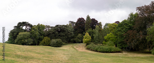 tree covered English hillside