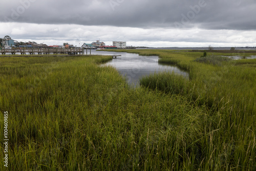 Salt Marsh at Southport, NC