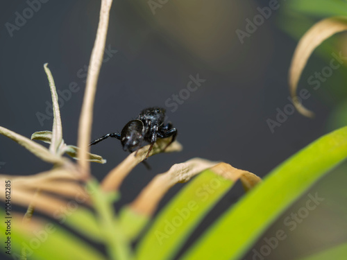 Macro, un mundo por descubrir