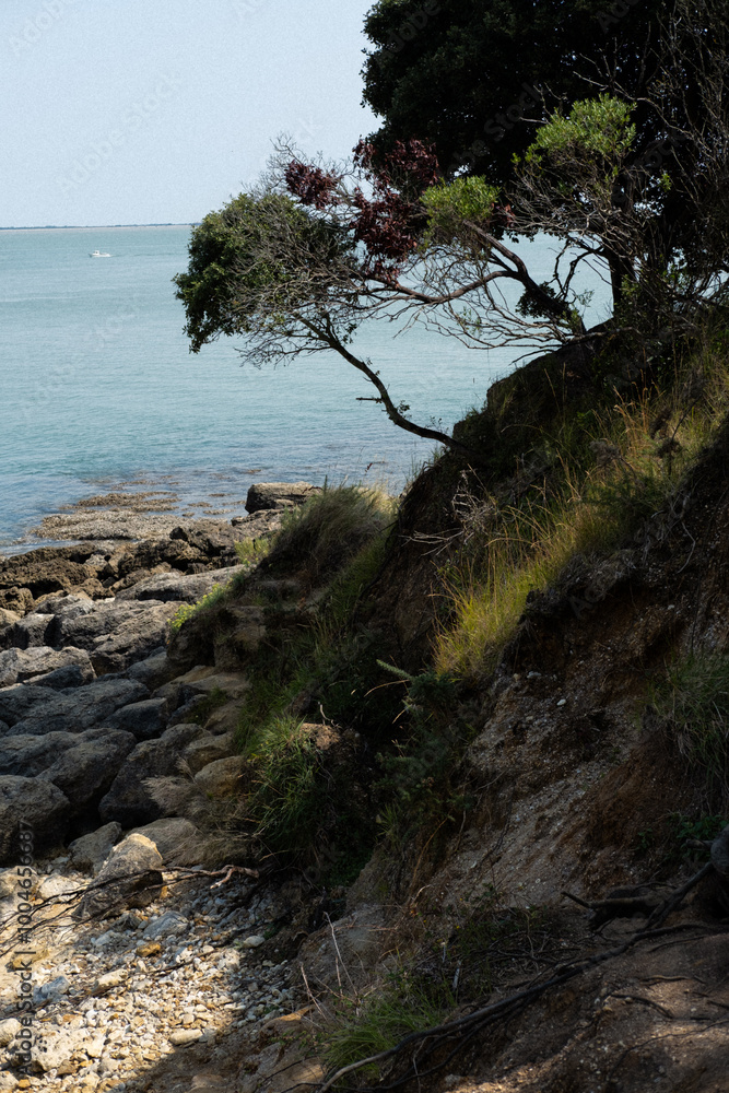 Obraz premium Paysage de l’Ile d’Aix