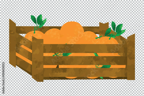 Illustration clémentines mandarines avec  feuilles cagette  en bois vecteur