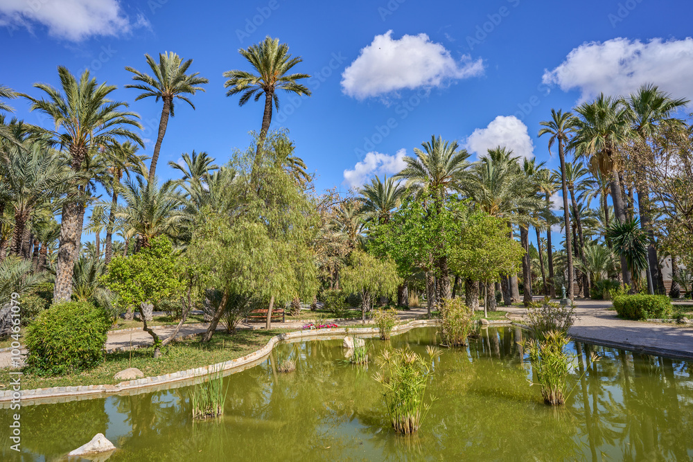 Φωτογραφία Small lake and palm trees in the Municipal Park of Elche, province of Alicante, Valencian Community