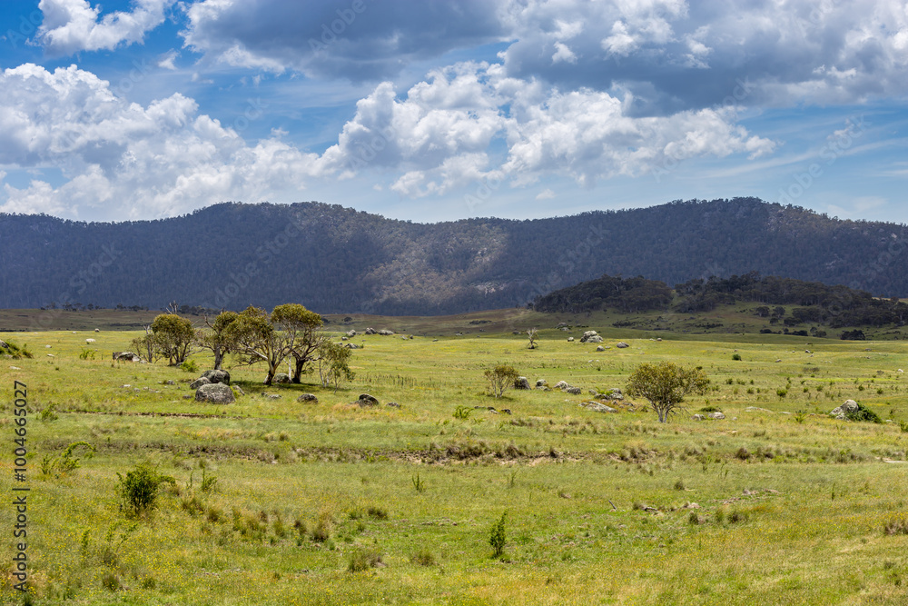 Enjoy Bogong Creek, where peaceful meadows stretch across Namadgi National Park. Lush green grass dotted with boulders and trees, all set against distant hills and a cloudy blue sky.