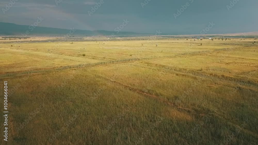 A birdseye view of wheat field with mountains on the horizon