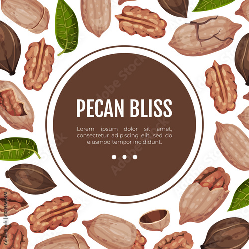 Pecan Nut Banner Design with Kernel and Shell Vector Template