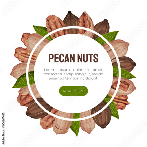 Pecan Nut Banner Design with Kernel and Shell Vector Template