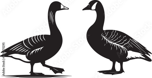 Swan vector silhouette image