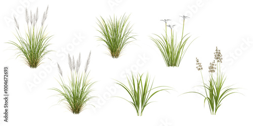 tropical Fresh green grass isolated used for architecture