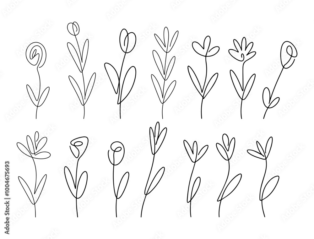 Fototapeta premium Vector illustration. Flower with one black line without lifting the hand on a white background. Set.