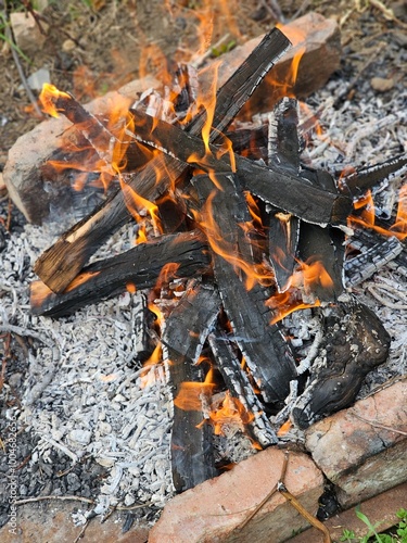 wood burning in the fire