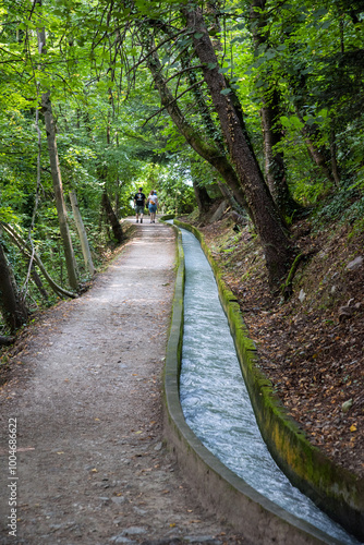 Waalweg in Südtirol photo