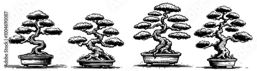 artistic set of bonsai trees in traditional pots, black vector design