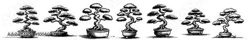 detailed sketch of bonsai trees with intricate foliage, black vector art
