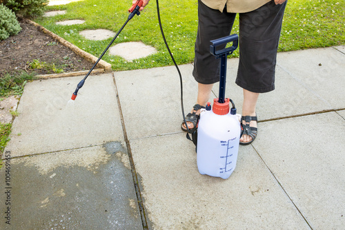 Woman spraying gray concrete patio paving slabs with liquid weed killer from pressurized plastic tank and handheld nozzle, with grass lawn in background photo